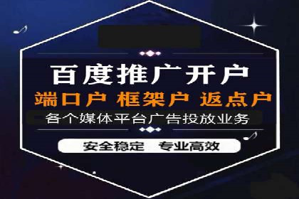 百度竞价排名实战：某行业领先企业的成功之路